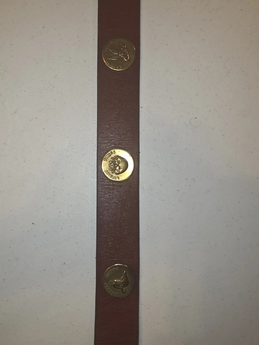 Warner Brthers Brown Leather Men's Belt with Gold Coin Accents